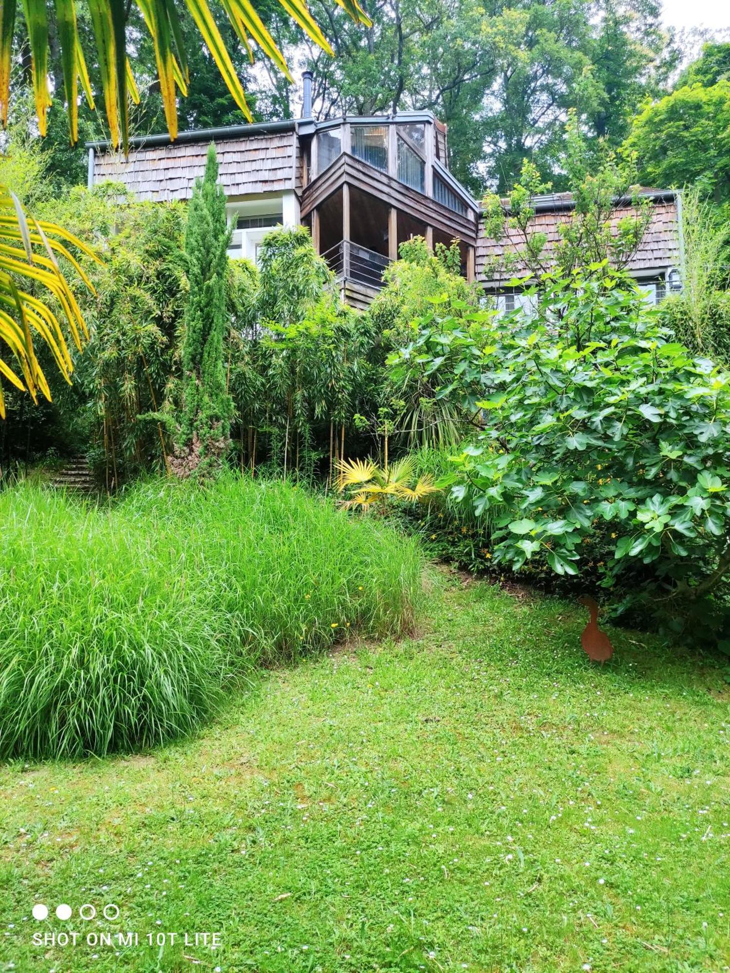 Maison Des Bois Bievres Exterior foto